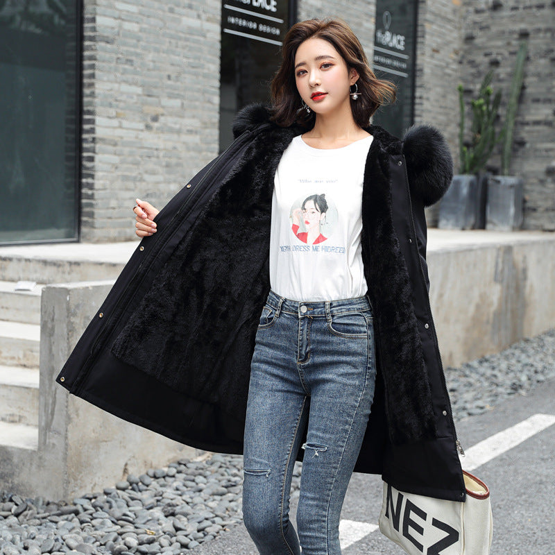 Hadcda1ffbf2f4c549989d6a023fe5ca6e.jpg